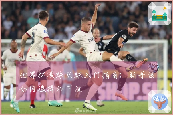 世界杯滚球买球入门指南：新手该如何选择和下注
