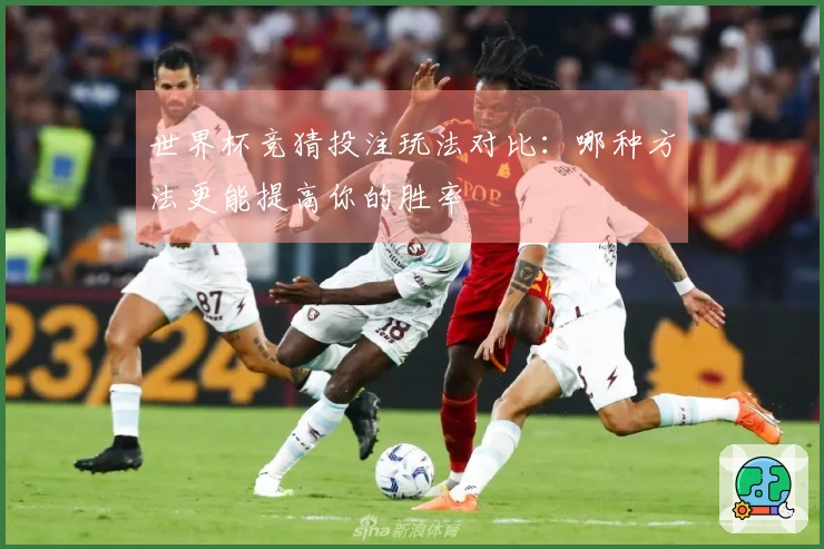 世界杯竞猜投注玩法对比：哪种方法更能提高你的胜率
