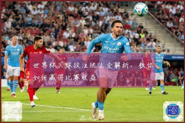 世界杯买球投注玩法全解析，教你如何赢得比赛收益