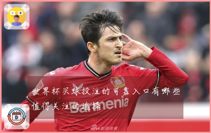 世界杯买球投注的可靠入口有哪些值得关注的选择