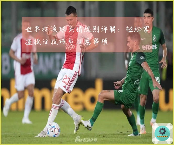 世界杯滚球竞猜规则详解，轻松掌握投注技巧与注意事项
