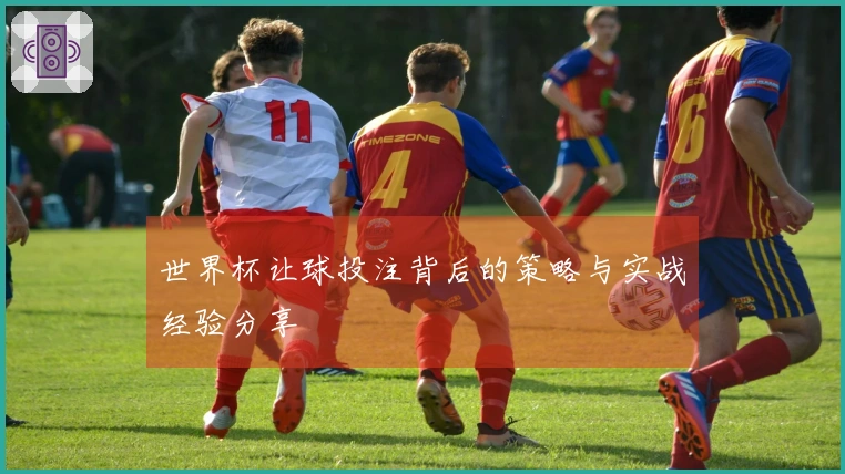 世界杯让球投注背后的策略与实战经验分享