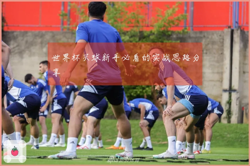 世界杯买球新手必看的实战思路分享