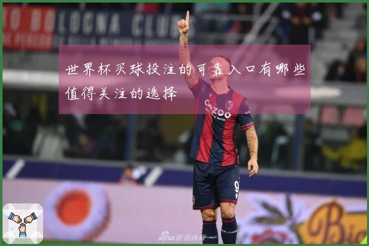 世界杯买球投注的可靠入口有哪些值得关注的选择