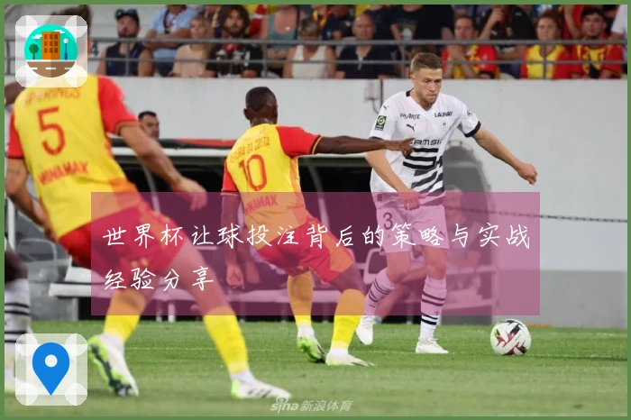 世界杯让球投注背后的策略与实战经验分享