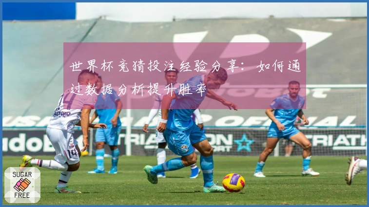 世界杯竞猜投注经验分享：如何通过数据分析提升胜率