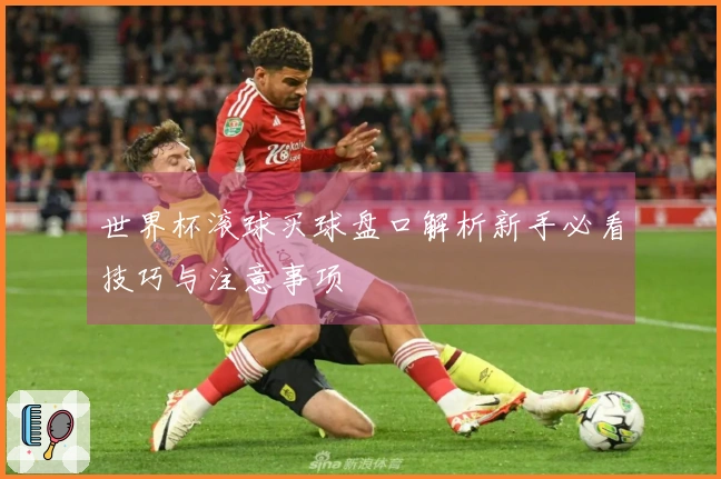 世界杯滚球买球盘口解析新手必看技巧与注意事项