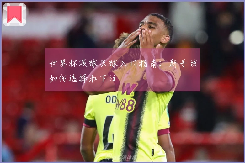 世界杯滚球买球入门指南：新手该如何选择和下注