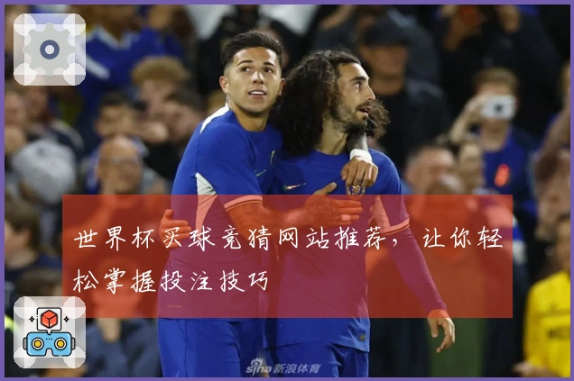 世界杯买球竞猜网站推荐，让你轻松掌握投注技巧