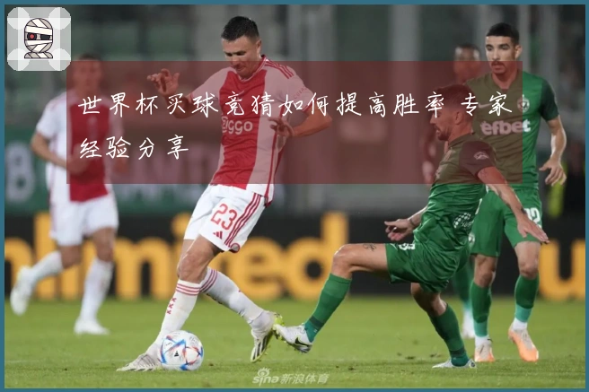 世界杯买球竞猜如何提高胜率 专家经验分享